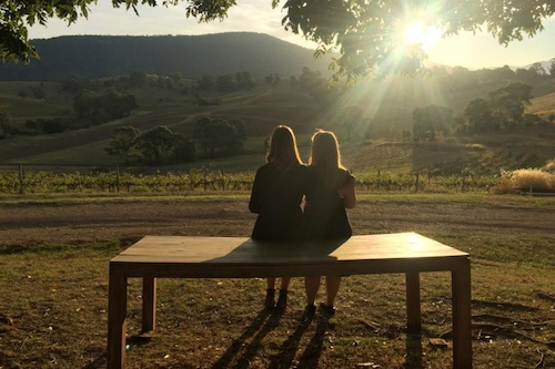 Afternoon Tour of Hunter Valley's Best Wineries