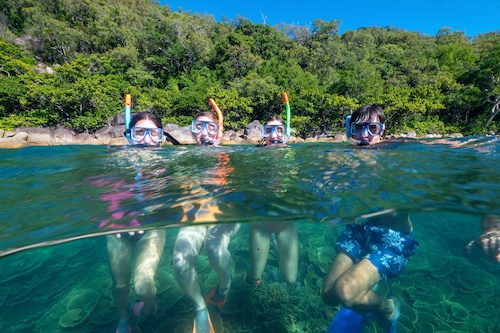Fitzroy Island Full Day Tour with Guided Snorkel Safari & Lunch