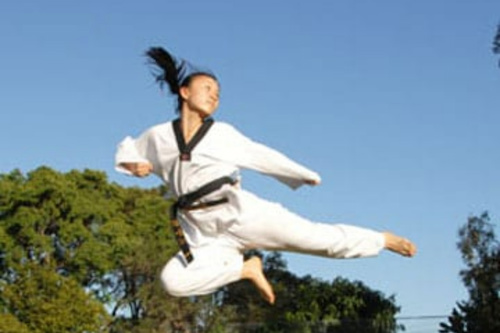 Individual Adult Taekwondo Lesson