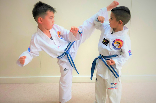 Kids Taekwondo Lesson for Three