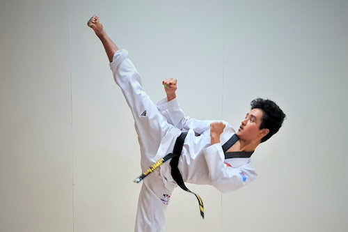 Individual Adult Taekwondo Lesson