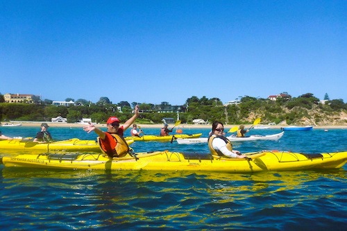 Kayak Tour at the Point Nepean Dolphin Sanctuary 