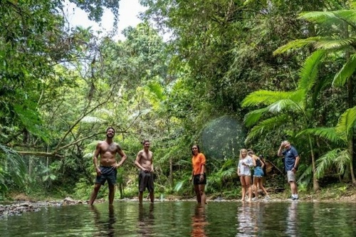 2-day Rainforest & Snorkelling Low Isles Tour