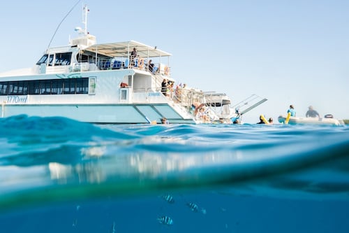 Lady Musgrave Cruise with Snorkel & Guided Walk