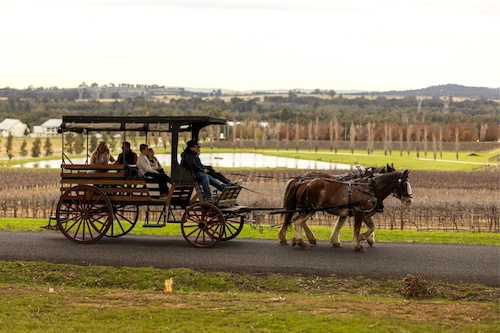 Hunter Valley Horse & Carriage Tour with Wine Tasting