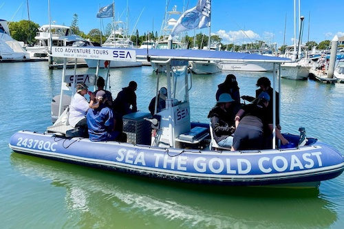 Small Boat Whale Watching Tour in Southport