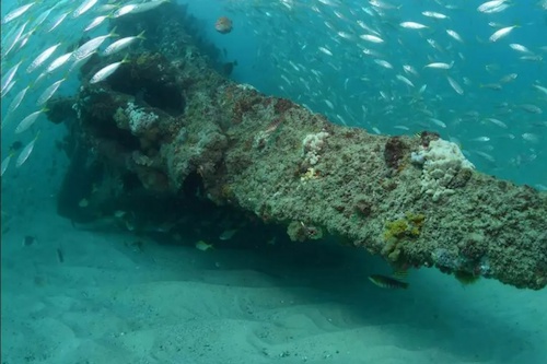 Dive the Scottish Prince Shipwreck on the Gold Coast
