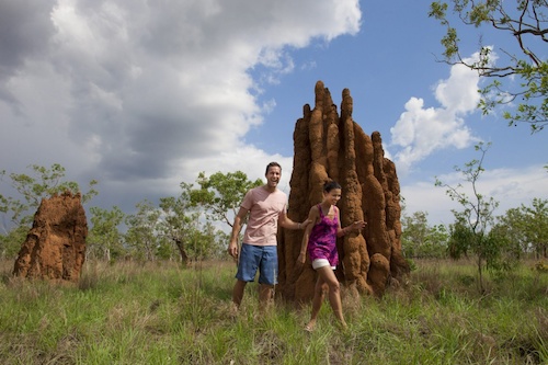 5 Day Kakadu & Litchfield Outback Adventure Tour in 4WD