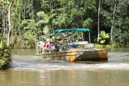 Rainforest & Wildlife Tours with Skyrail Experience