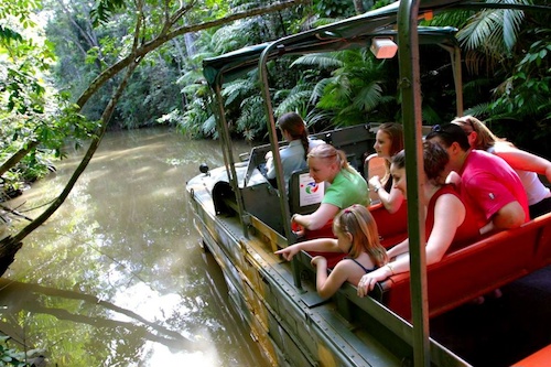 Rainforest Discovery Tour Package