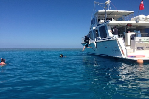 Outer Great Barrier Reef Snorkelling with Single Certified Dive