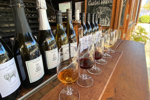 Wine-tasting and Sell-guided Tour at The Mill