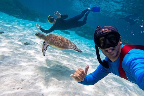 Morning Snorkel & Eco Adventure on Great Barrier Reef