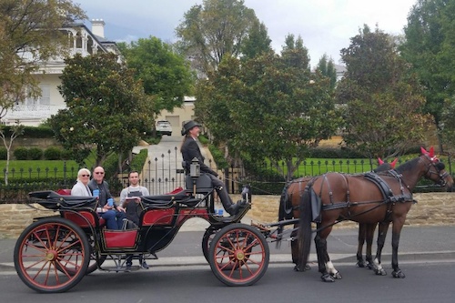 Historic Carriage Tour in Hobart