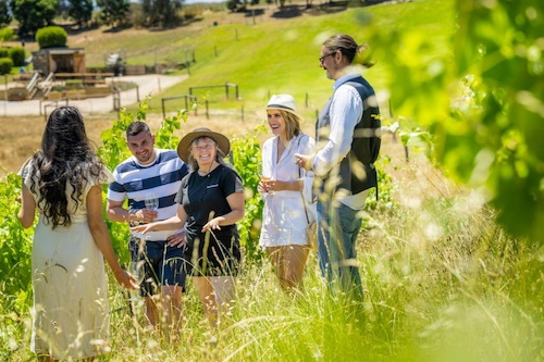 Guided Biodynamic Winery Experience