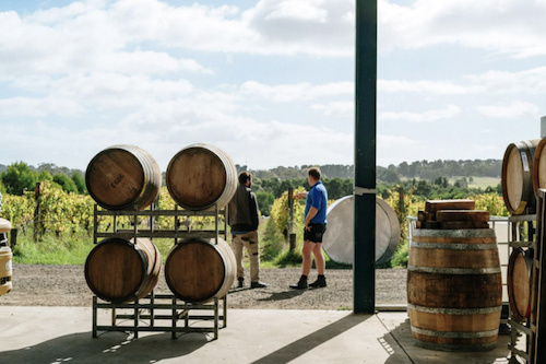 Best Wineries & Hidden Gems of Mornington Peninsula at Escape Discovery Adventures