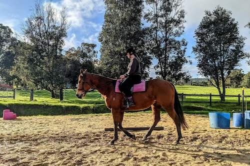 Private Horse Riding Lesson - Adult