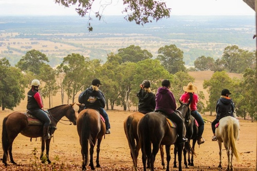 Horse Riding & Picnic Day Out in Jarrahdale 
