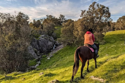 Exclusive Adventure Horse Ride-Out for 1.5 Hours 