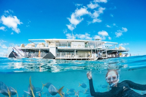 Great Barrier Reef Adventure Cruise with Lunch from Airlie Beach