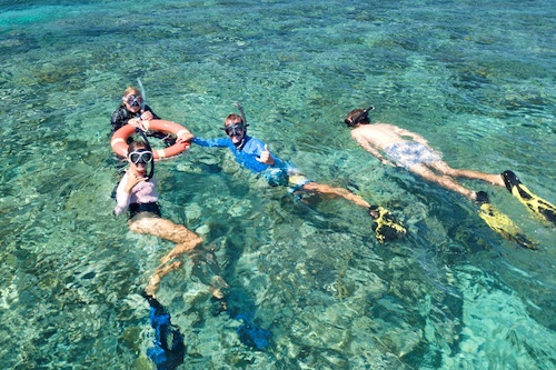 Snorkelling Day Trip in Great Barrier Reef