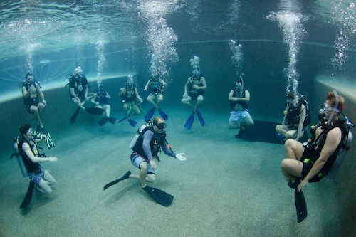 Scuba Diving Refresher Course