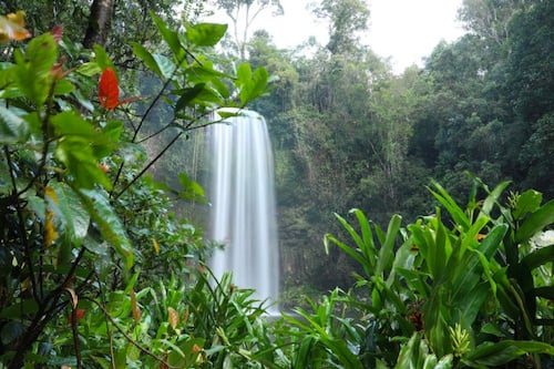 Private Tour of Stunning Waterfalls in Cairns