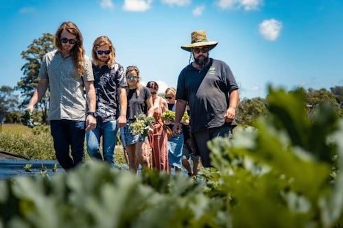 Private Farm to Plate Food Experience in Sunshine Coast