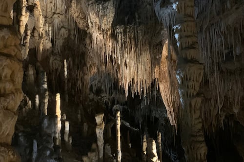 Hastings Caves, Thermal Springs and Tahune AirWalk