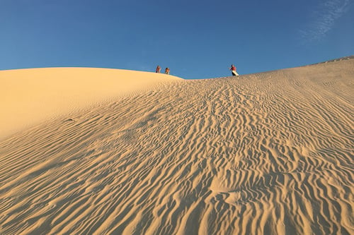 45 min 4WD Sand Dunes & Sand Boarding Adventure at 2pm