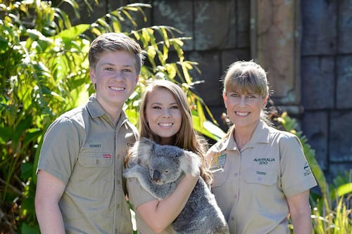 Australia Zoo Transfers and Tour + Cuddle a Koala