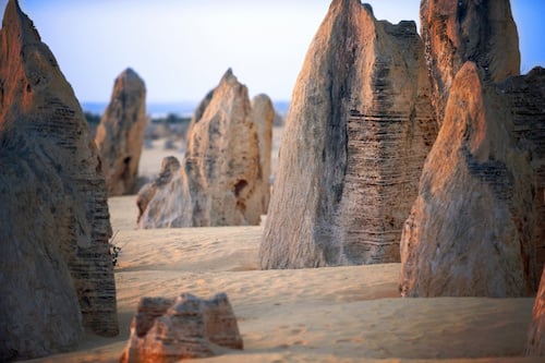 Pinnacles Desert Explorer with Sand Boarding Tour from Perth