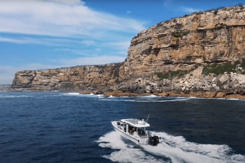 Private Sydney Sea Safari Charter