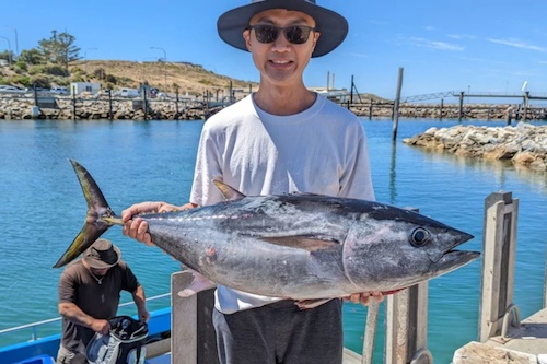 Blue Fin Tuna Trophy Hunt and Gourmet Feast in Victor Harbour