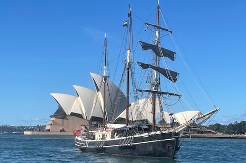 Whale & Tall Ship Sail on Sydney Harbour