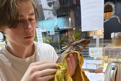 Become a Reptile Keeper for a Day