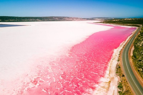 Pink Lake and Abrolhos Islands - Half Day Tour 