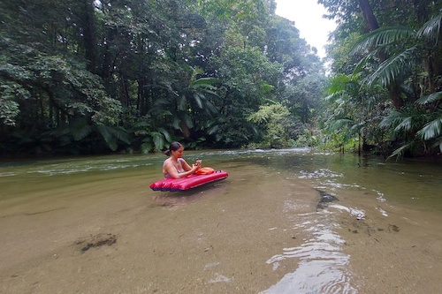 Rainforest River Drift