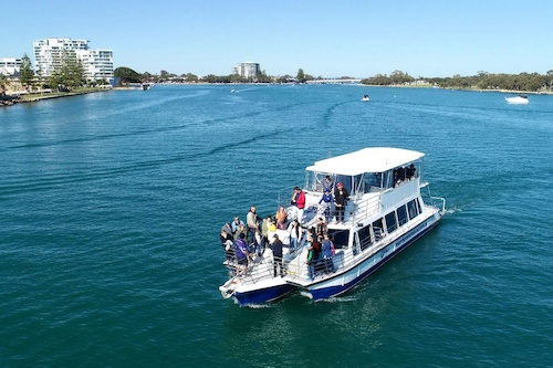 Dolphin Cruise and Views Tour