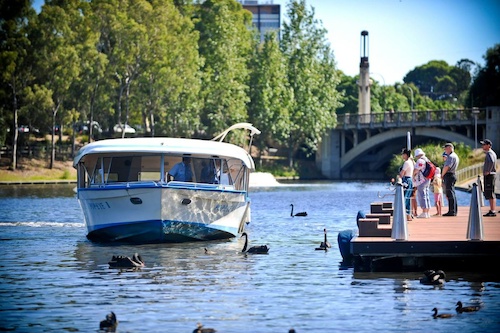 Sightseeing Cruise at River Torrens