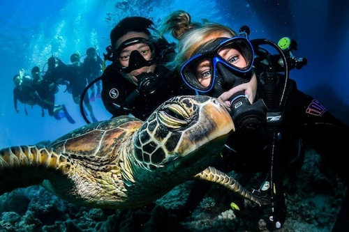 Great Barrier Reef Day Trip with Introductory Diving Experience