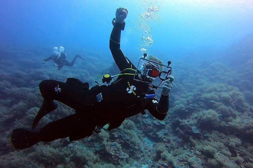 PADI Discover Scuba Diving Experience