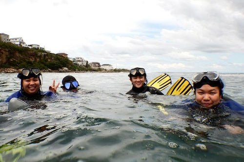 Sydney's Underwater Adventure Eco Tour for Nonswimmers