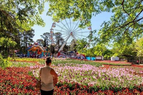 Canberra Floriade Festival Tour