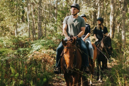 1.5hr Forest Trail Horse Riding