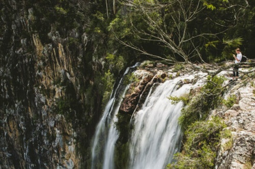 Minyon Falls Chauffered Scenic Ride