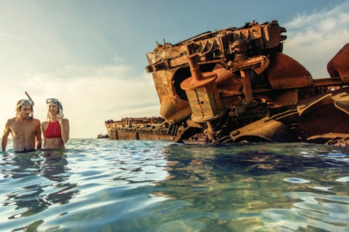 Snorkel the Tangalooma Wrecks 