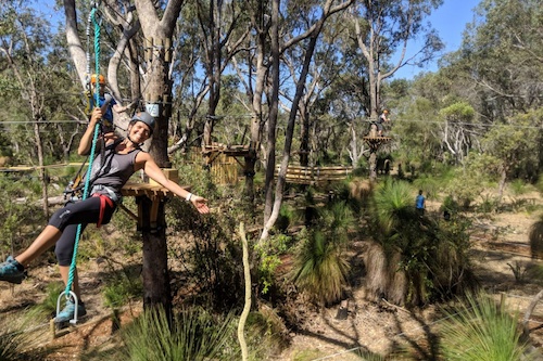 2.5- Hour Treetops Adventure in Yanchep