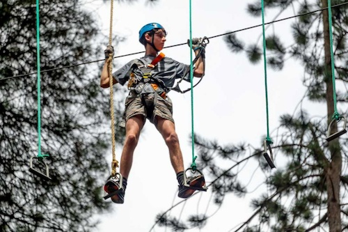A Treetop Ropes Course Experience in Hollybank