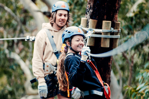 2.5- Hour Treetops Adventure in St Ives